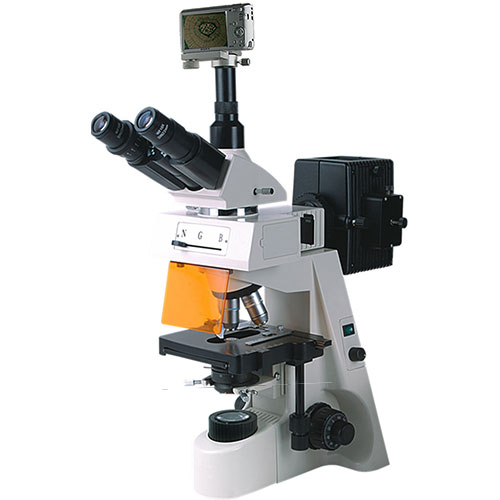 上海彼爱姆 BM-19AYS 荧光显微镜