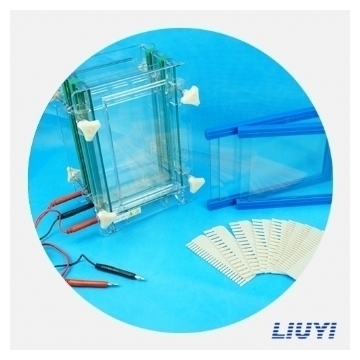 北京六一 DYCZ-28B 单板夹芯式垂直电泳仪（大号）