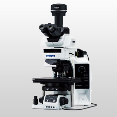 奥林巴斯 OLYMPUS BX63 电动荧光显微镜