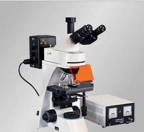 缔伦光学 TL3001 落射荧光显微镜