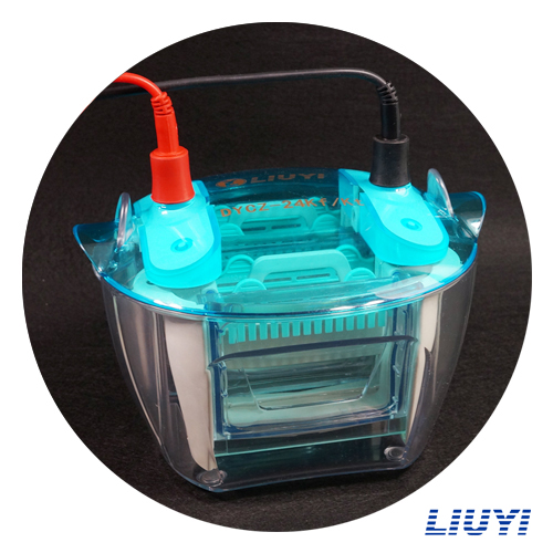 北京六一 DYCZ-24KF 四板垂直电泳仪