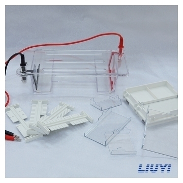 北京六一 DYCP-31DN 琼脂糖水平电泳仪