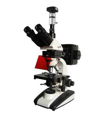 上海彼爱姆 BM-20AYD 荧光显微镜