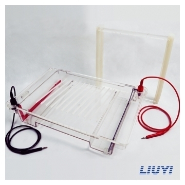 北京六一 DYCP-32C 琼脂糖水平电泳仪