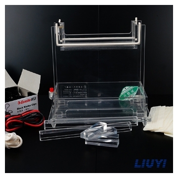 北京六一 DYCZ-24A 双垂直电泳仪