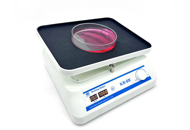 海门其林贝尔转移脱色摇床KB-8B