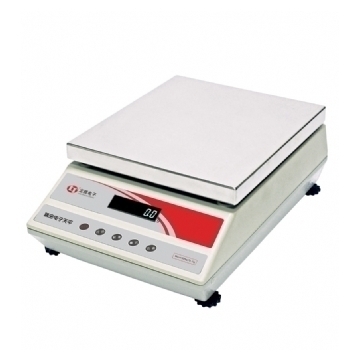 沈阳龙腾 ES20K-1 大称量电子天平