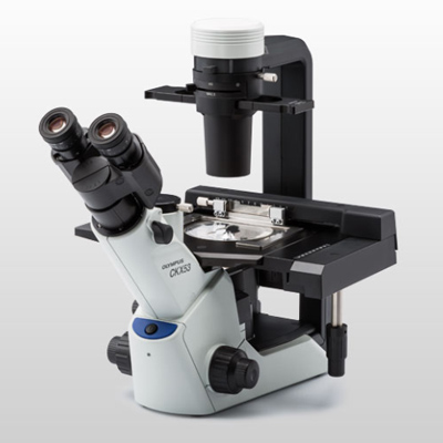 奥林巴斯 OLYMPUS CKX53 细胞培养用倒置显微镜