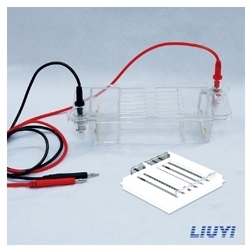 北京六一 DYCP-32B 琼脂糖水平电泳仪