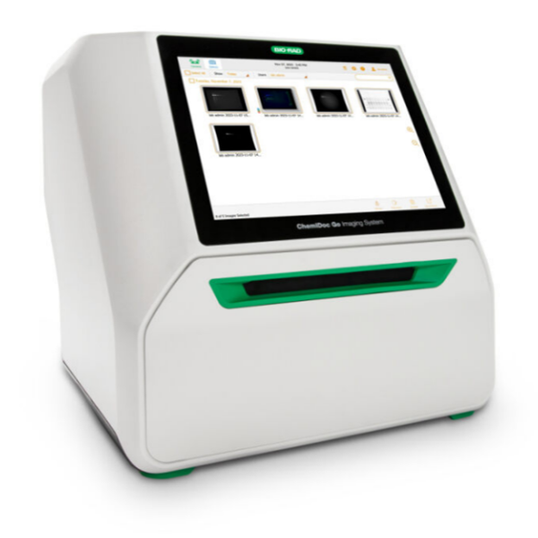 伯乐 Bio-Rad ChemiDoc Go 荧光及化学发光成像系统