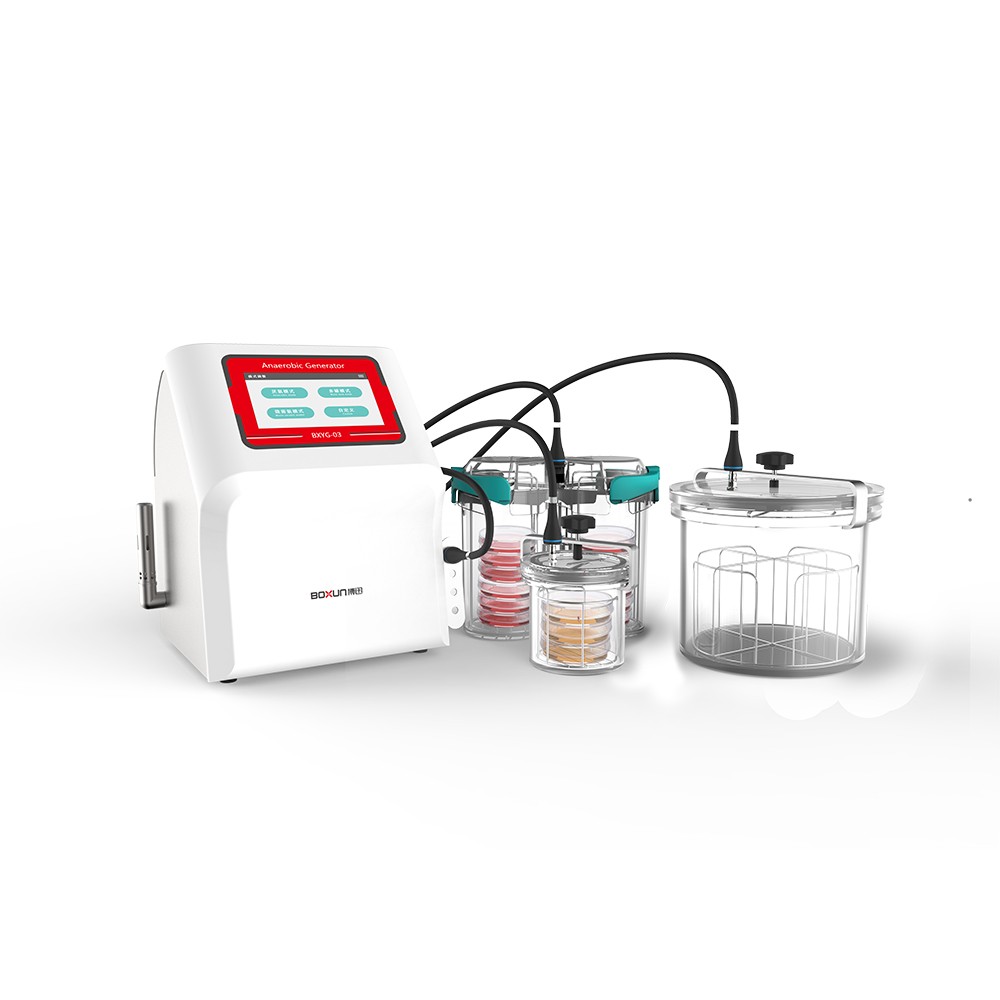 上海博迅 Boxun BXYG-03 厌氧培养系统