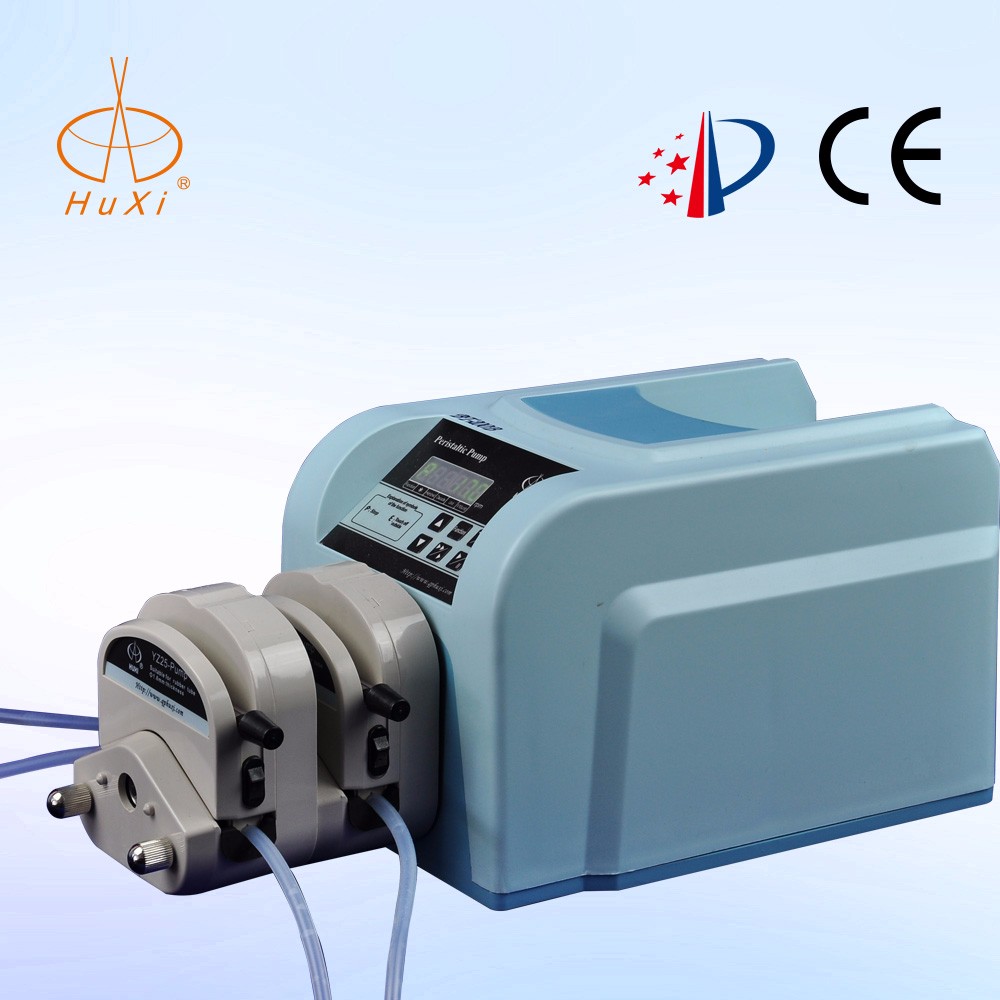上海青浦沪西 BT-200D 恒流泵（易装型）