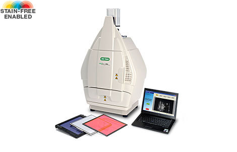 伯乐 Bio-Rad ChemiDoc XRS+ 化学发光成像系统