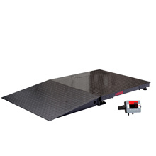 奥豪斯 OAHUS DF32M1500BSZH 电子平台秤