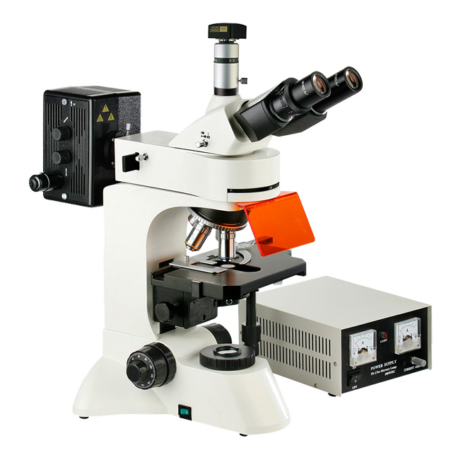 上海彼爱姆 BM-22AYD 荧光显微镜