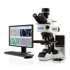 OLYMPUS正置金相显微镜BX53M