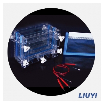 北京六一 DYCZ-30C 双板夹芯式垂直电泳仪