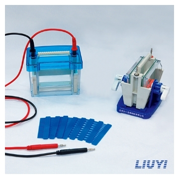 北京六一 DYCZ-24DN 迷你双垂直电泳仪