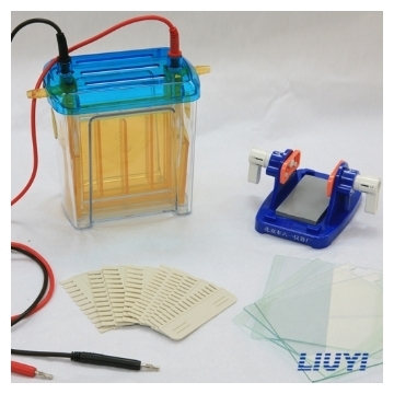 北京六一 DYCZ-24EN 双垂直电泳仪