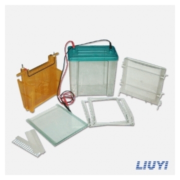 北京六一 DYCZ-24F 双垂直电泳仪