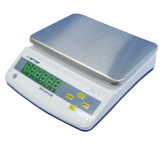 上海恒平 YP6001N 电子天平