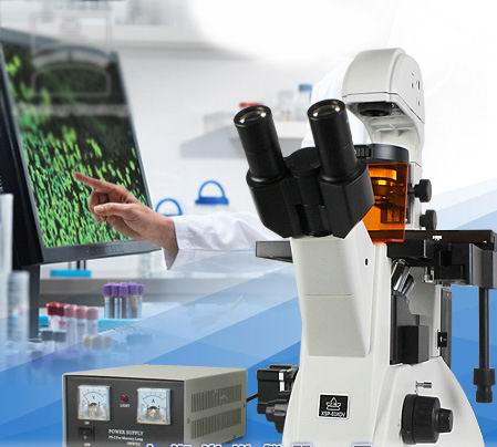 上海光学 XSP-63XDV 倒置荧光显微镜