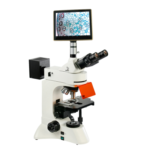 上海彼爱姆 BM-22BYP 荧光显微镜