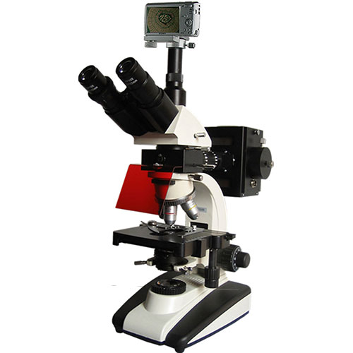 上海彼爱姆 BM-20AYS 荧光显微镜
