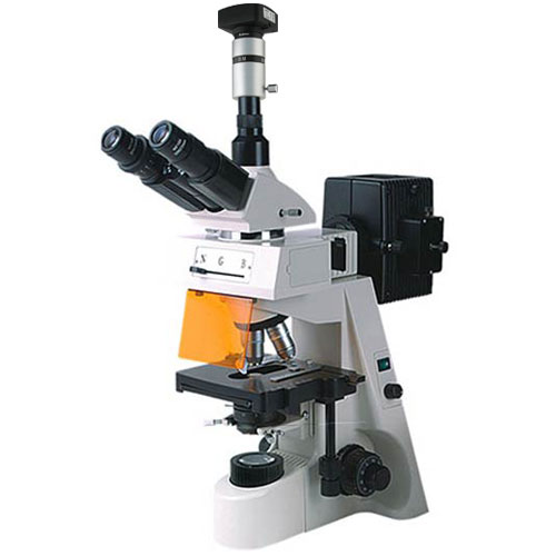 上海彼爱姆 BM-19AYD 荧光显微镜