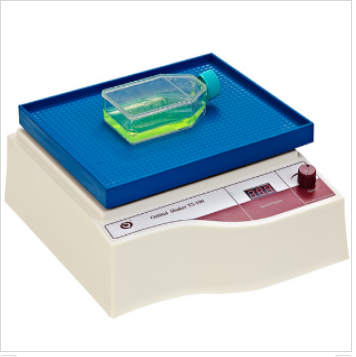 其林贝尔脱色摇床TS-100，数显