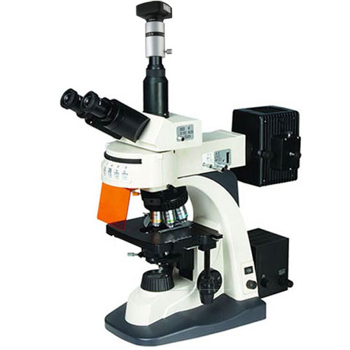上海彼爱姆 BM-21AYD 荧光显微镜