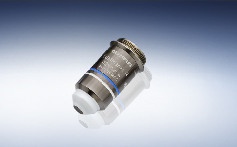 奥林巴斯长工作距离平场半复消色差水浸物镜LUMPLFLN40XW