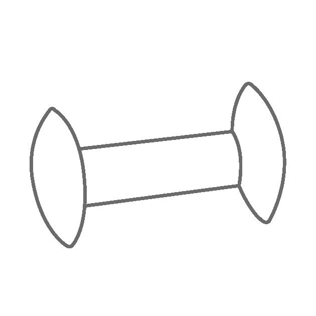 艾卡 IKA FLON 37 bone 骨形磁力搅拌子套装 (5 Pcs)，PTFE涂层