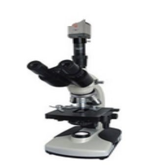 上海上光彼爱姆电脑生物显微镜XSP-BM-2CBAC