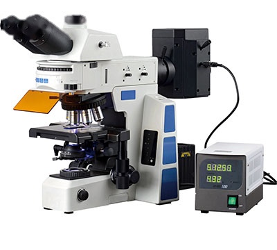 上海彼爱姆研究型荧光生物显微镜BM-SG15Y