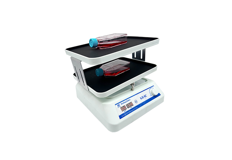 其林贝尔转移脱色摇床KB-8C