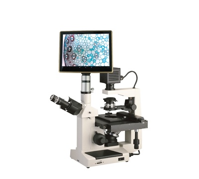 上海彼爱姆 平板电脑型生物显微镜 BM-37XFP