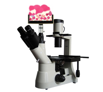 上海彼爱姆 平板电脑型生物显微镜 BM-37XCP