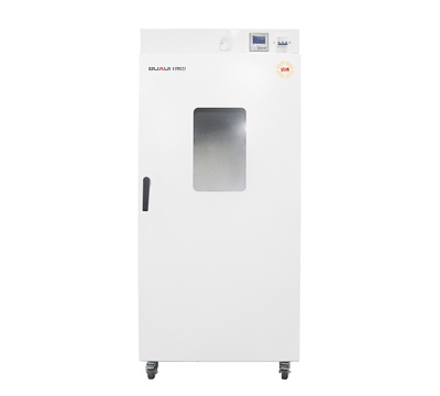 上海博迅电热鼓风干燥箱BGZ-420