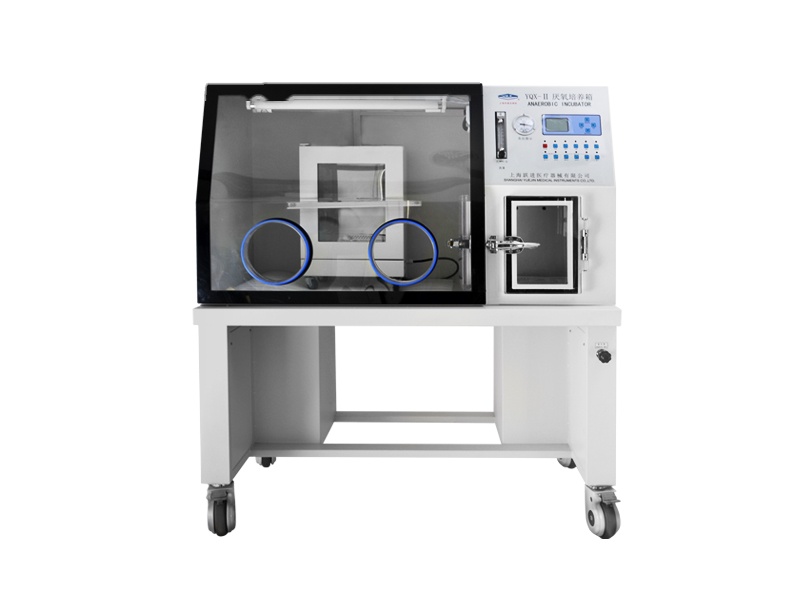 跃进 HENGZI YQX-I 医用厌氧培养箱