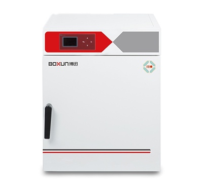 上海博迅电热鼓风干燥箱 BXH-65