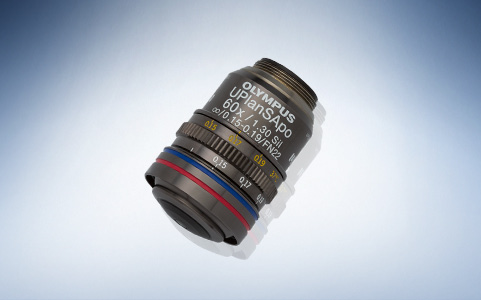 奥林巴斯复消色差硅油镜UPLSAPO 60XS2