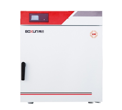 上海 博迅电热鼓风干燥箱 BGZ-146