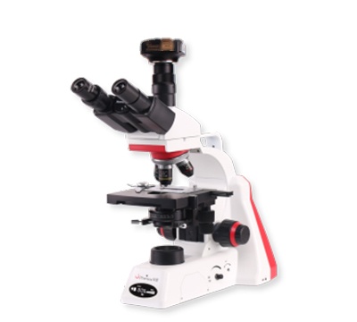凤凰光学生物显微镜BMC100-TB310U