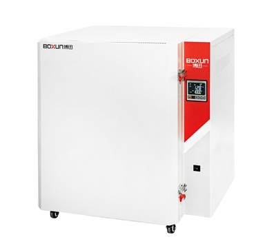 上海博迅高温鼓风干燥箱BGG-248