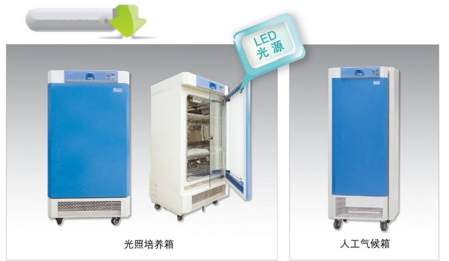 上海齐欣光照培养箱KRG-250A