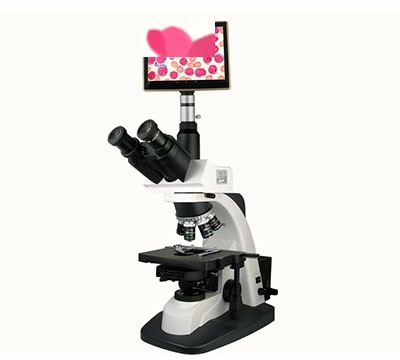 上海彼爱姆平板电脑型高级生物显微镜BM-SG10P