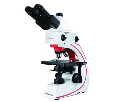 凤凰光学 BMC500-FLED-B/G 正置荧光显微镜
