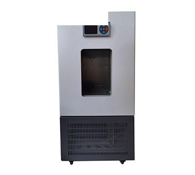 上海冉绘人工气候箱（强光程控智能型）RQH-300Q