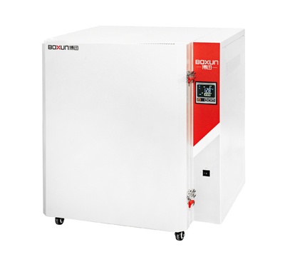 上海博迅高温鼓风干燥箱BGG-78